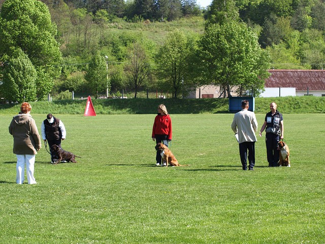 www.atibox.net * www.euroboxer.eu * www.boxergenealogia.eu